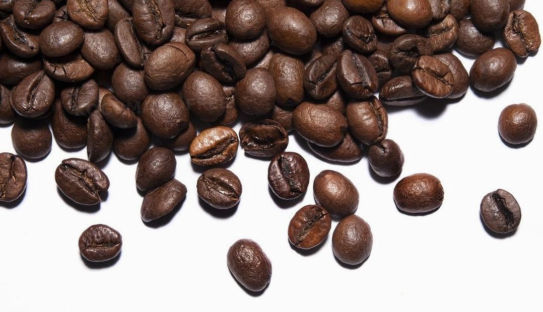 KOGUMA COFFEE 3